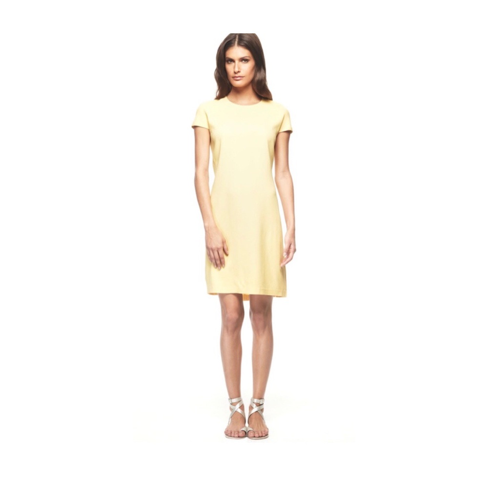 Francisco Costa Calvin Klein Sheath dress